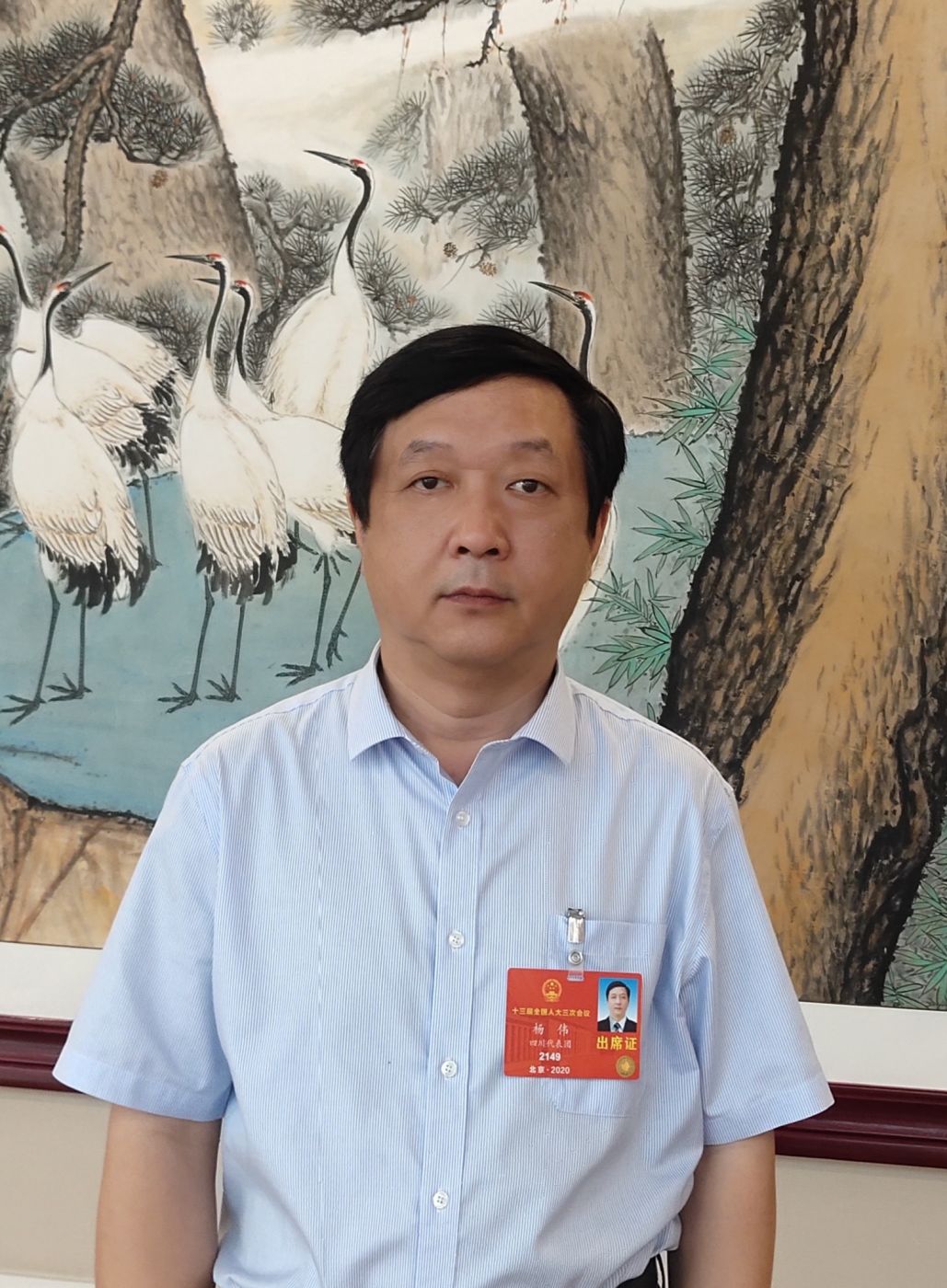 2.全国人大代表、中国科学院院士、乐鱼网页版登录入口-乐鱼（中国）副总经理杨伟